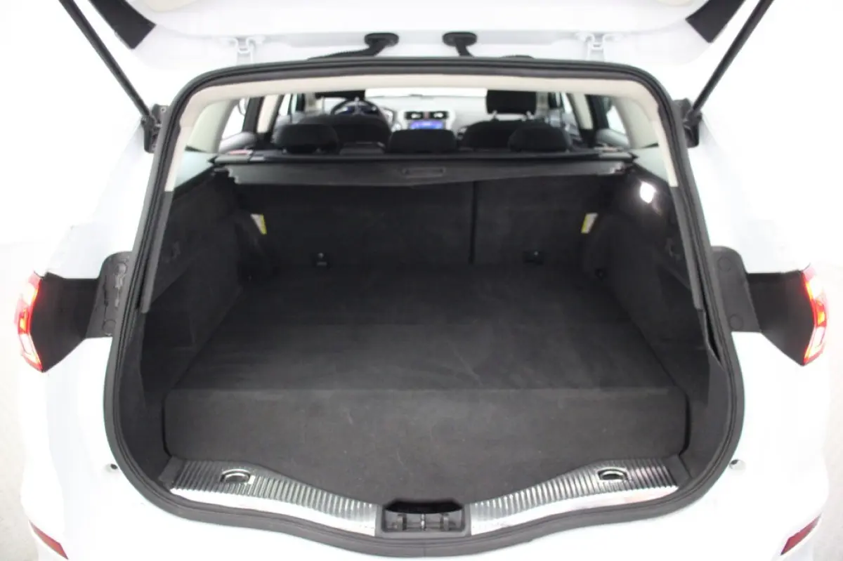 2.0 IVCT HEV Titanium - Carplay, Cruise, Clima, Stoelverw.