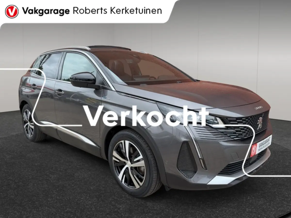 1.6 HYbrid PHEV GT Pack Bussiness Schuifdak Trekhaak SOH 93%