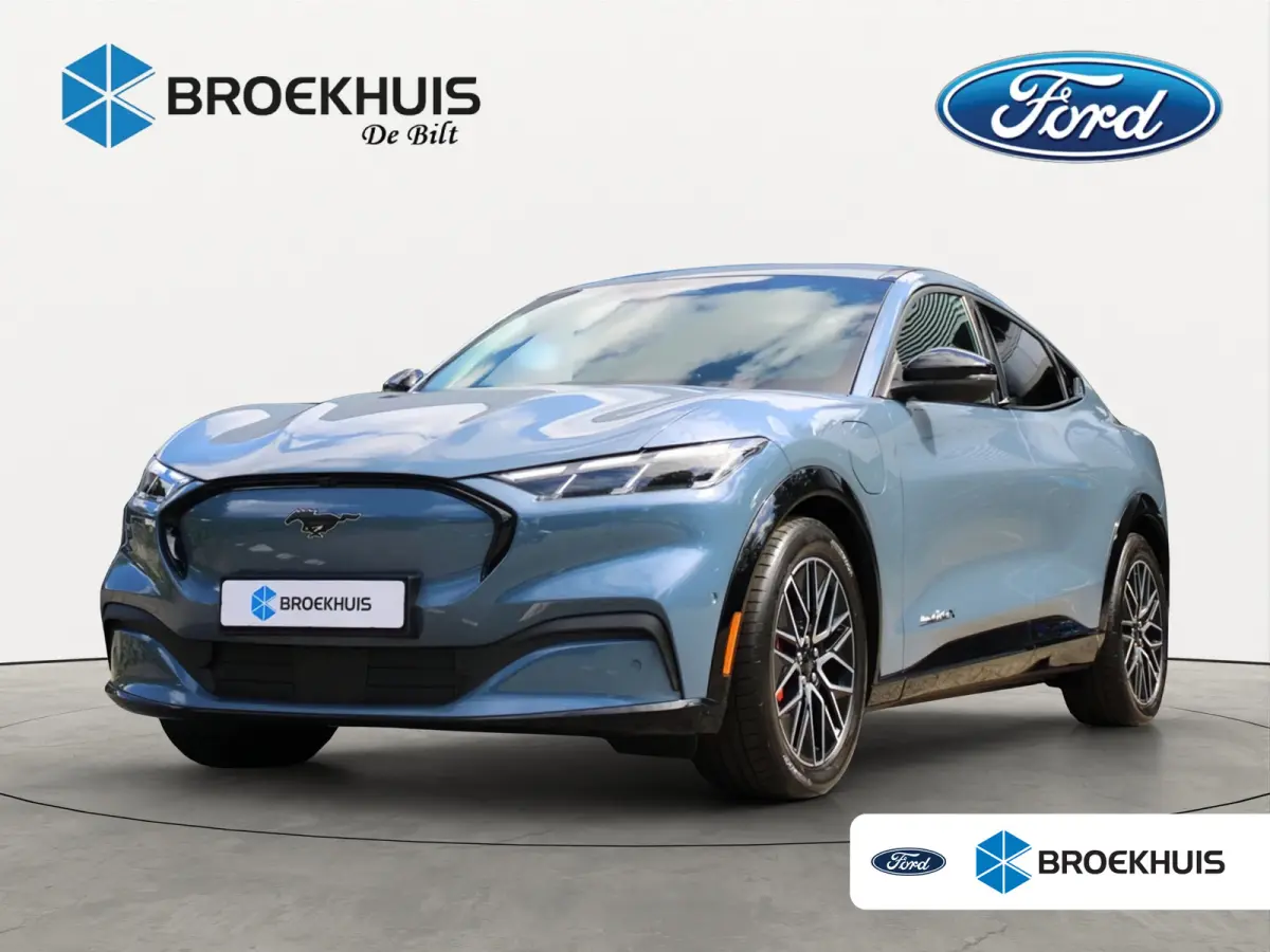 Extended Premium AWD 91 kWh | DIRECT RIJDEN! | 4 JR GARANTIE! | 360° CAMERA | ADAPTIVE CRUISE | WINTERPACK | DODE HOEK | LED | LEDER | PARK SENS V+A | DEALER OH! | B&O
