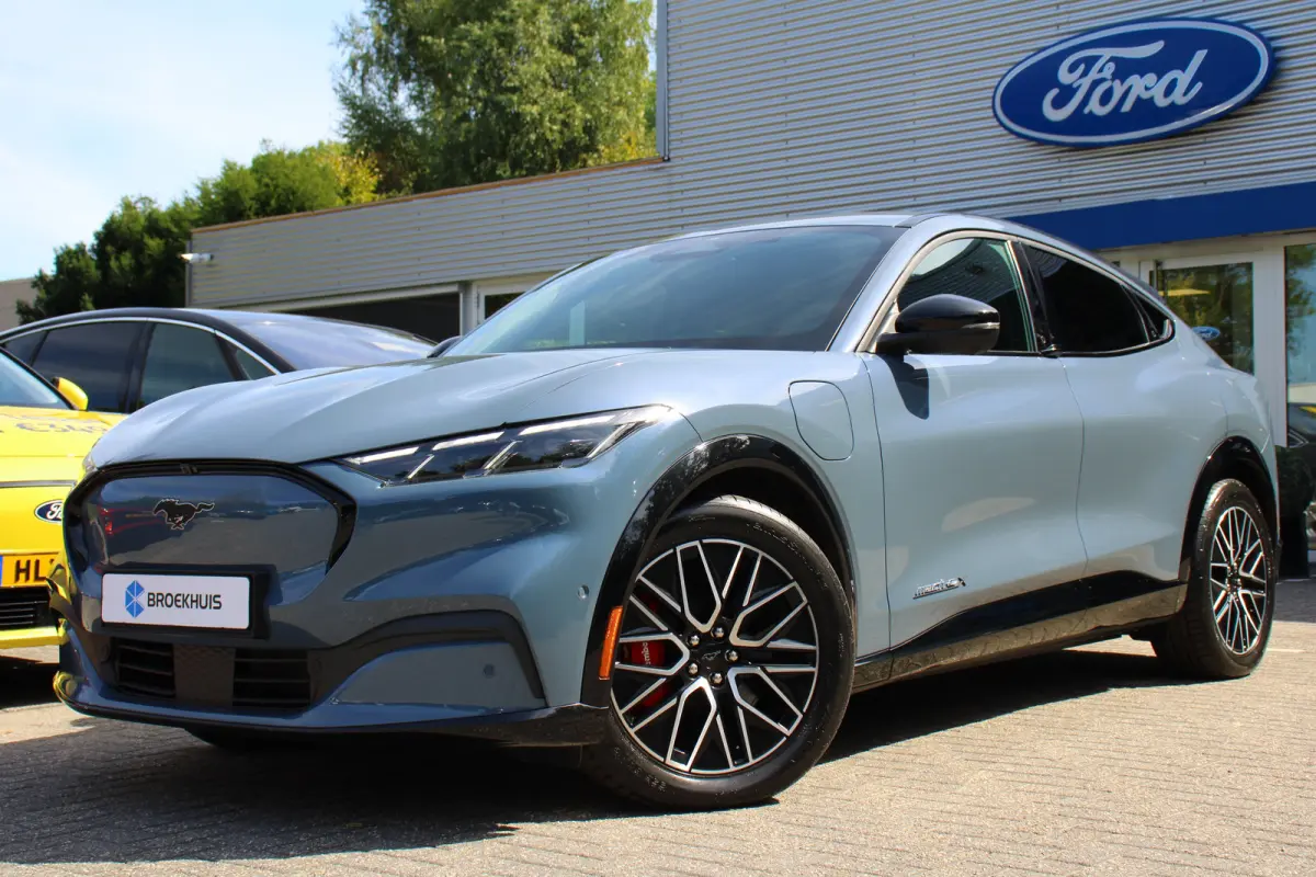 Extended Premium AWD 91 kWh | DIRECT RIJDEN! | 4 JR GARANTIE! | 360° CAMERA | ADAPTIVE CRUISE | WINTERPACK | DODE HOEK | LED | LEDER | PARK SENS V+A | DEALER OH! | B&O