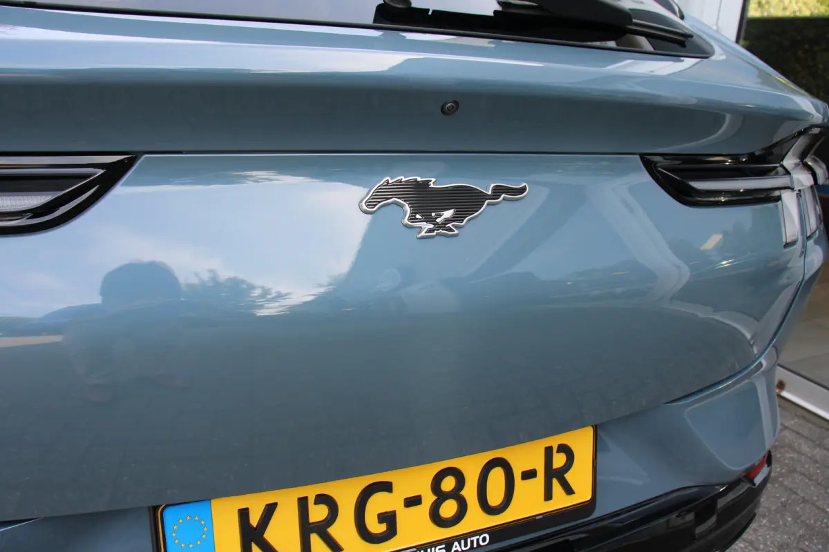 Extended Premium AWD 91 kWh | DIRECT RIJDEN! | 4 JR GARANTIE! | 360° CAMERA | ADAPTIVE CRUISE | WINTERPACK | DODE HOEK | LED | LEDER | PARK SENS V+A | DEALER OH! | B&O