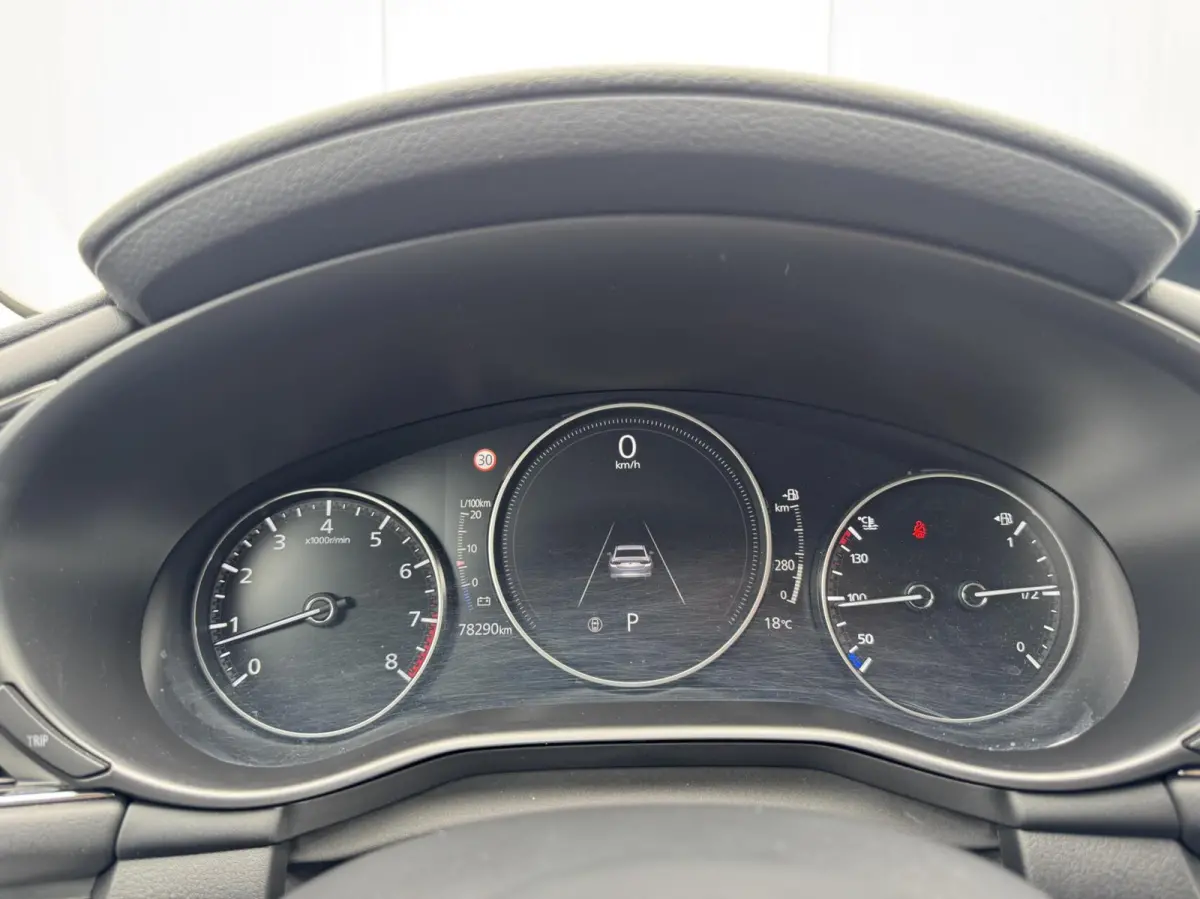 2.0 e-SkyActiv-X M Hybrid 186 Luxury|NL-Auto