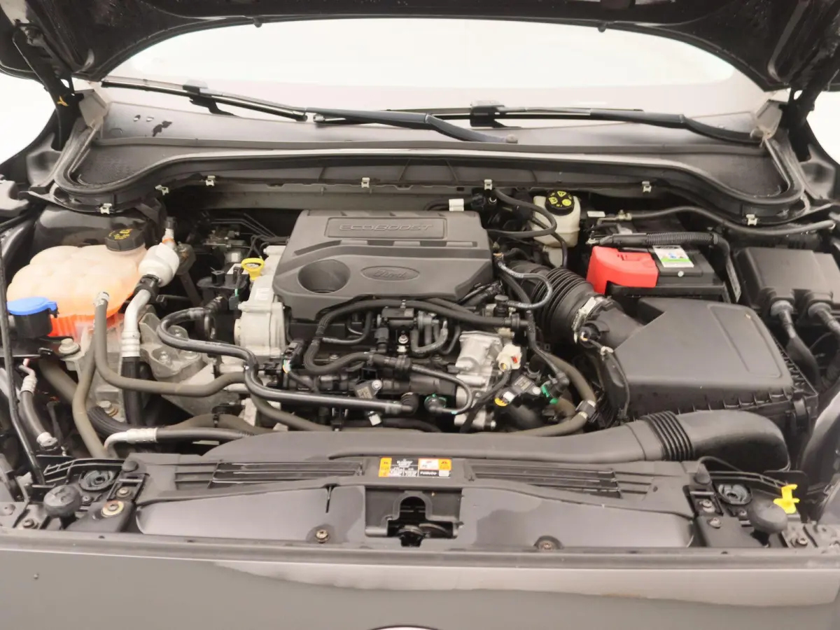 1.0 EcoBoost Active Business | Winter pakket | Navigatie |