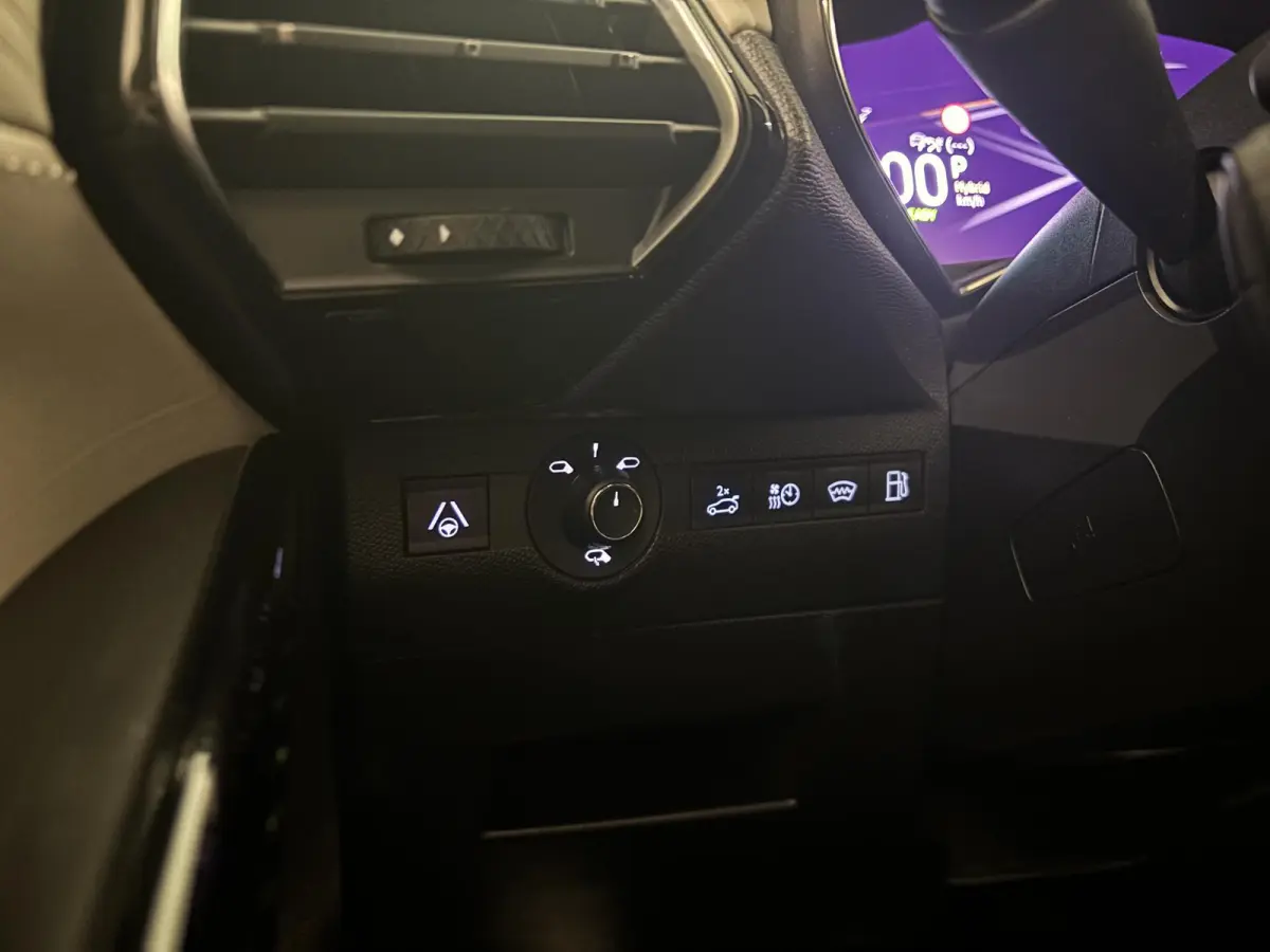 E-Tense 225 Opéra | Lederen stoelen | Panorama dak | Adaptive Cruise | Memory seats | Apple Carplay - Android Auto