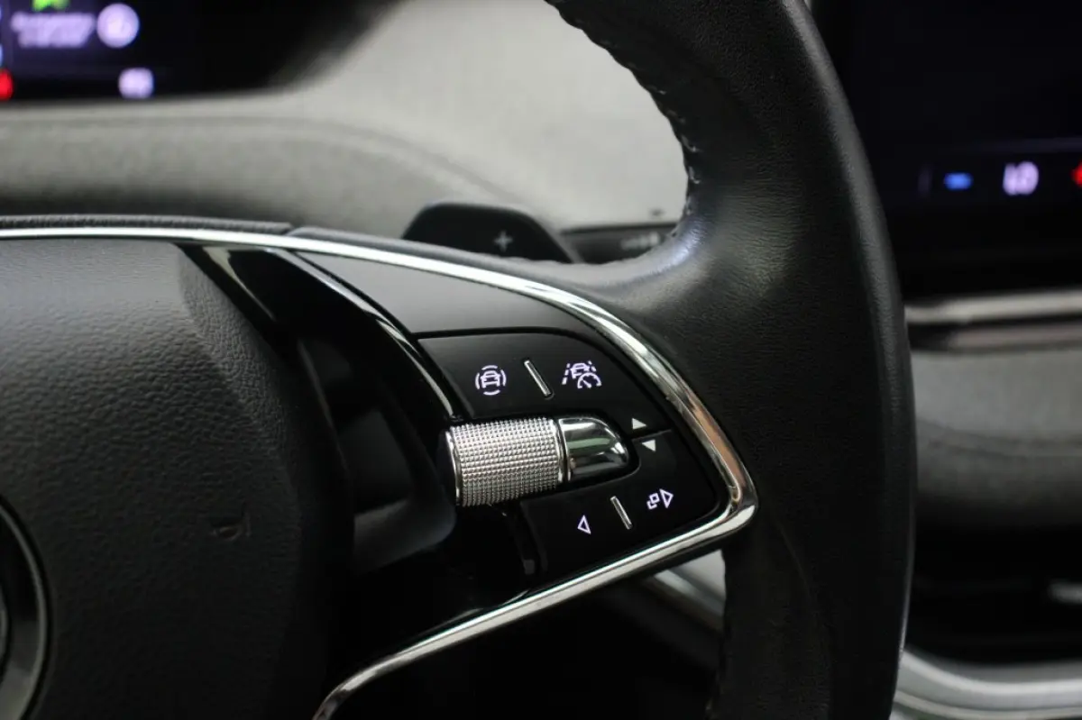 60 - Panorama, Carplay, Camera, SOH 90.69%