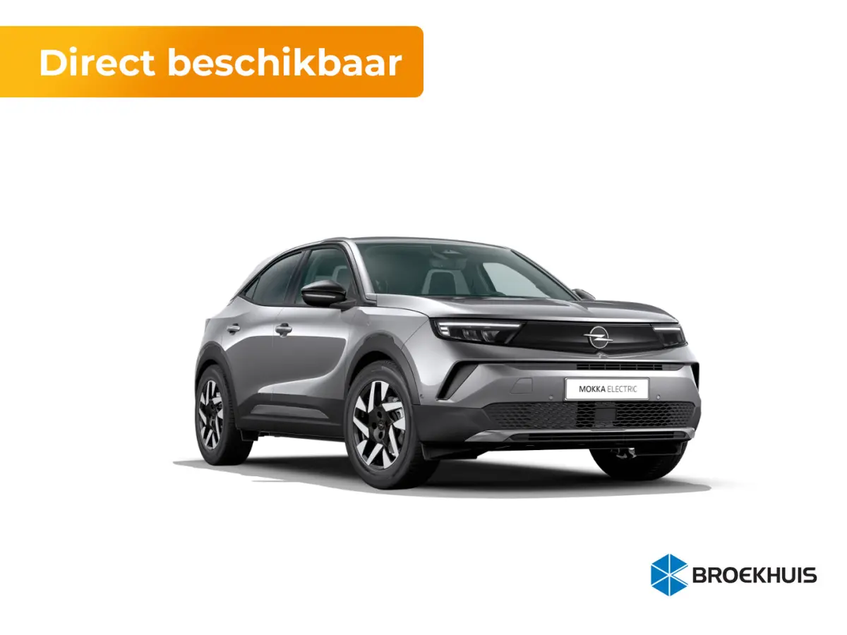 Business Edition - Electric | 17" Lichtmetalen velgen | Achteruitrijcamera | Adaptive Cruise control