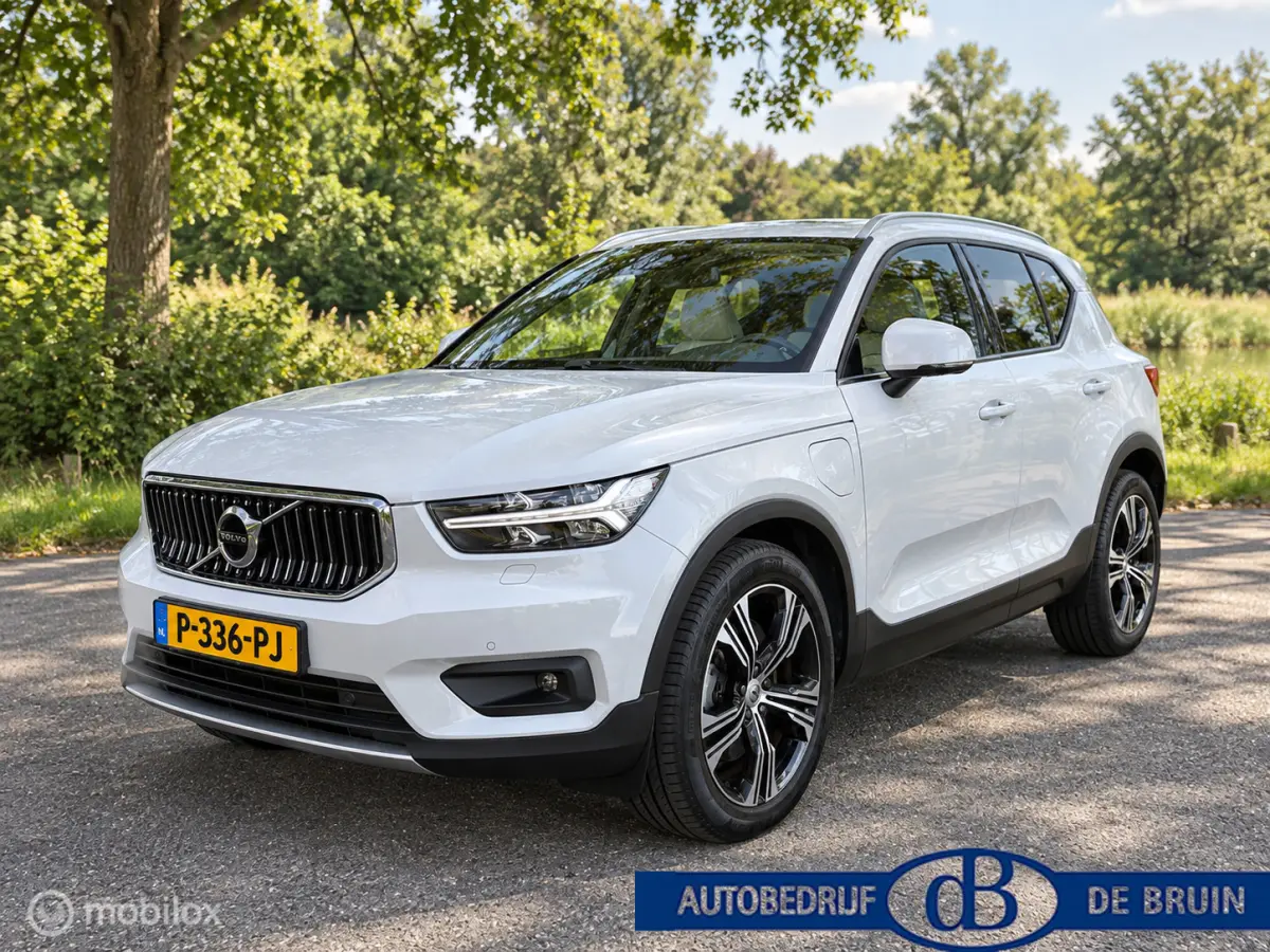 1.5 T4 Inscription Leer Panorama dak