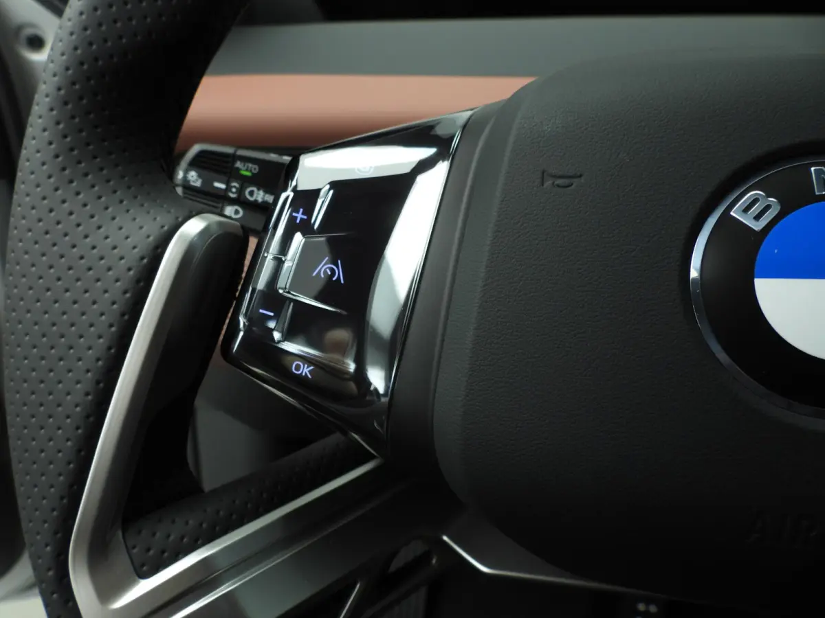 40 eDrive M Sportpakket / Panoramadak / Trekhaak / Getint glas / Park assist