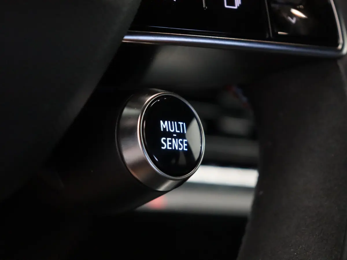 Hybrid 160pk esprit Alpine | Vijf jaar garantie | Harman Kardon | 360 graden camera | Stuurwielverwarming |