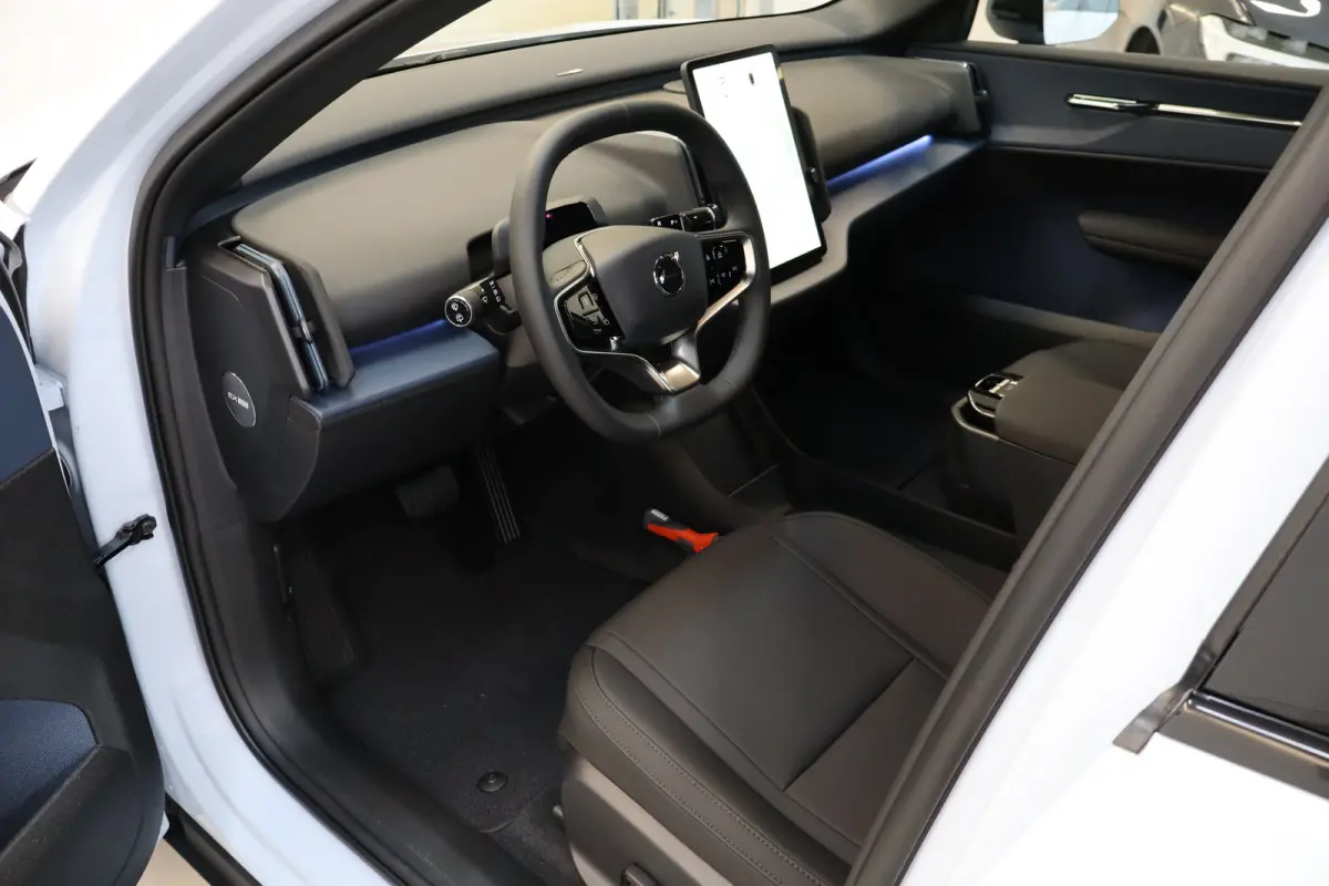 P3 Plus Europa 51 kWh Getint Glas | Elektr klep | BLIS | Elektr Stoelen | Stoelverw