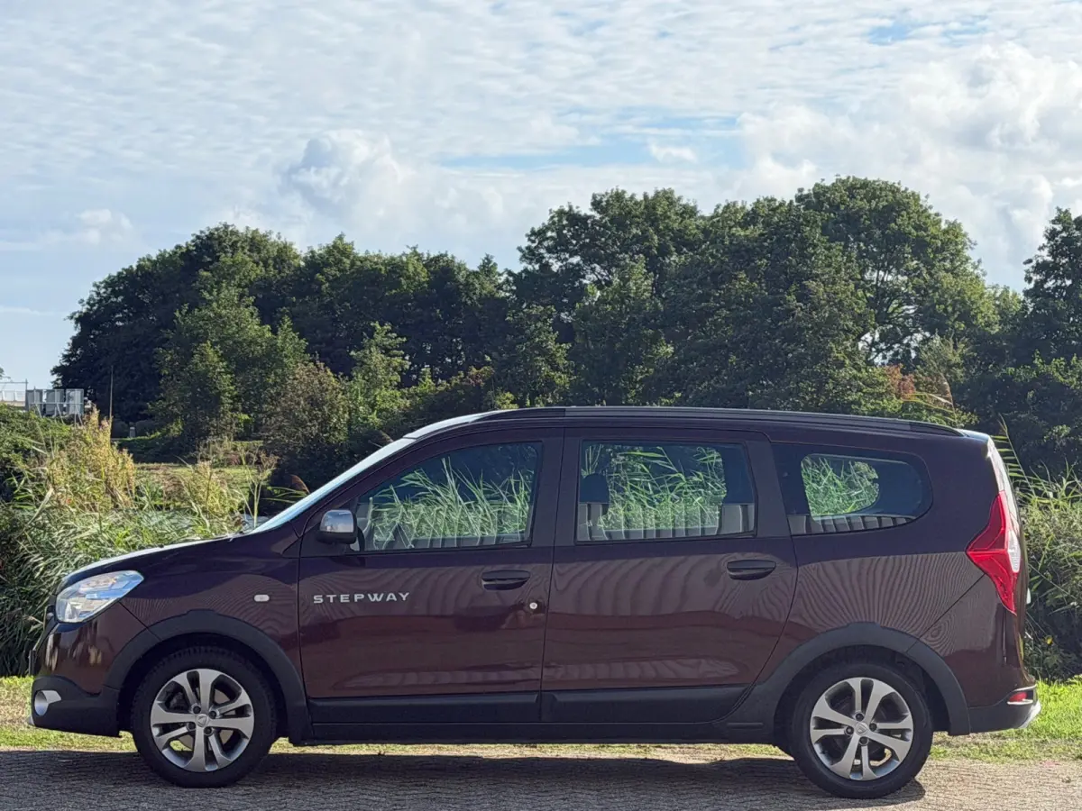 1.2 TCe Stepway - Brun Tourmaline - Complete 7-zitter