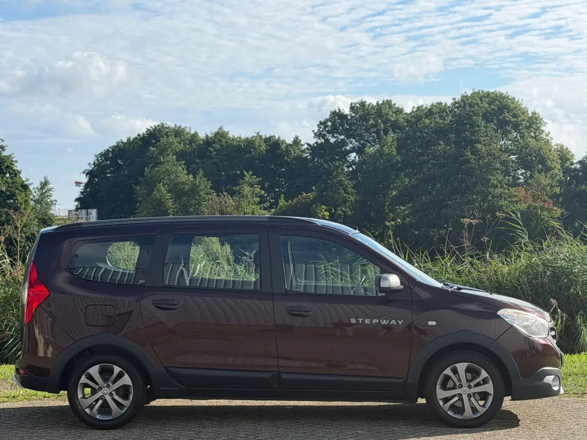 1.2 TCe Stepway - Brun Tourmaline - Complete 7-zitter