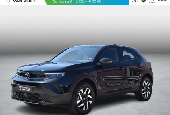 1.2 Turbo Hybrid Business Edition l cruise control adaptief l keyless entry l Apple Carplay/Android Auto