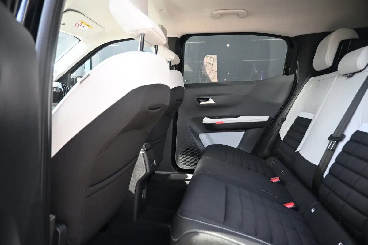 Max 113pk Extended Range 54 kWh | Achteruitrijcamera | Apple Carplay/Android Auto|telefoonintegratie premium | Cruise control |