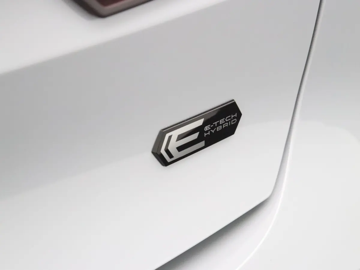 Hybrid 160pk evolution | Vijf jaar garantie | All season banden | Adaptieve cruise control | Apple carplay / Android auto |