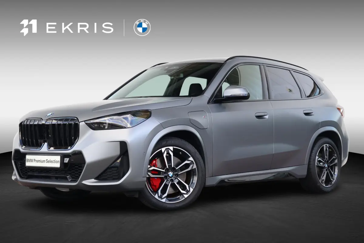 xDrive25e | SoH 100% | Sport Pakket Pro | Stuur & Stoelverwarming | Comforttoegang | PDC | Harman Kardon | 19'' LM |