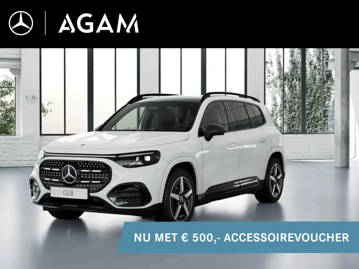 electric 250+ Business Solution AMG 85.5 kWh