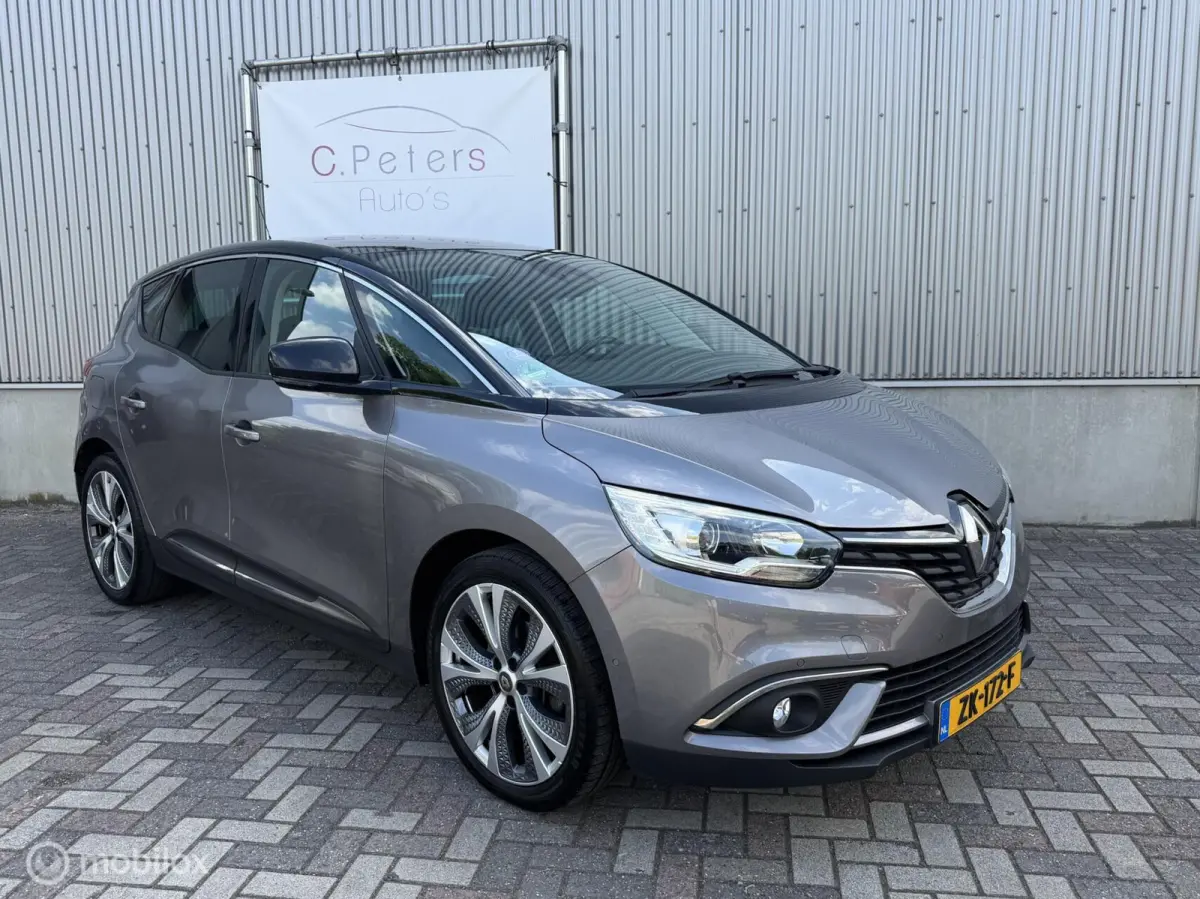 1.3 TCe Intens 2018 / Camera / Keyless / PDC / Half Leer / Dodehoekdetectie / 2e eigenaar NAP