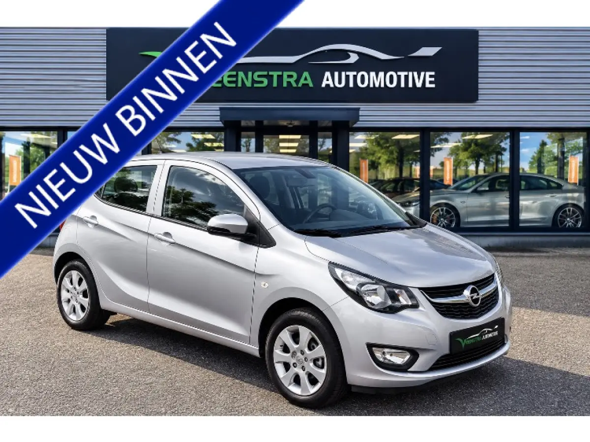 1.0 EcoFlex | 5-Deurs | Cruise | Airco | Bluetooth | 2018