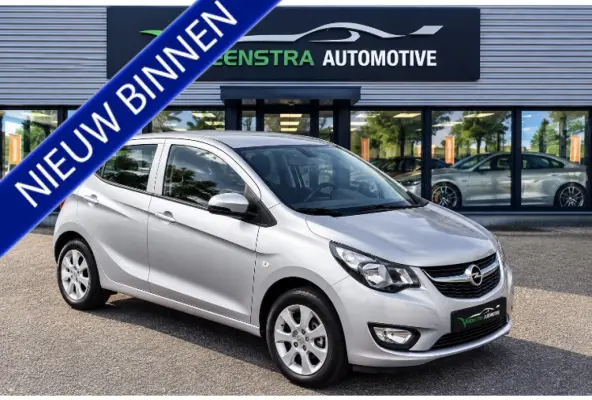1.0 EcoFlex | 5-Deurs | Cruise | Airco | Bluetooth | 2018