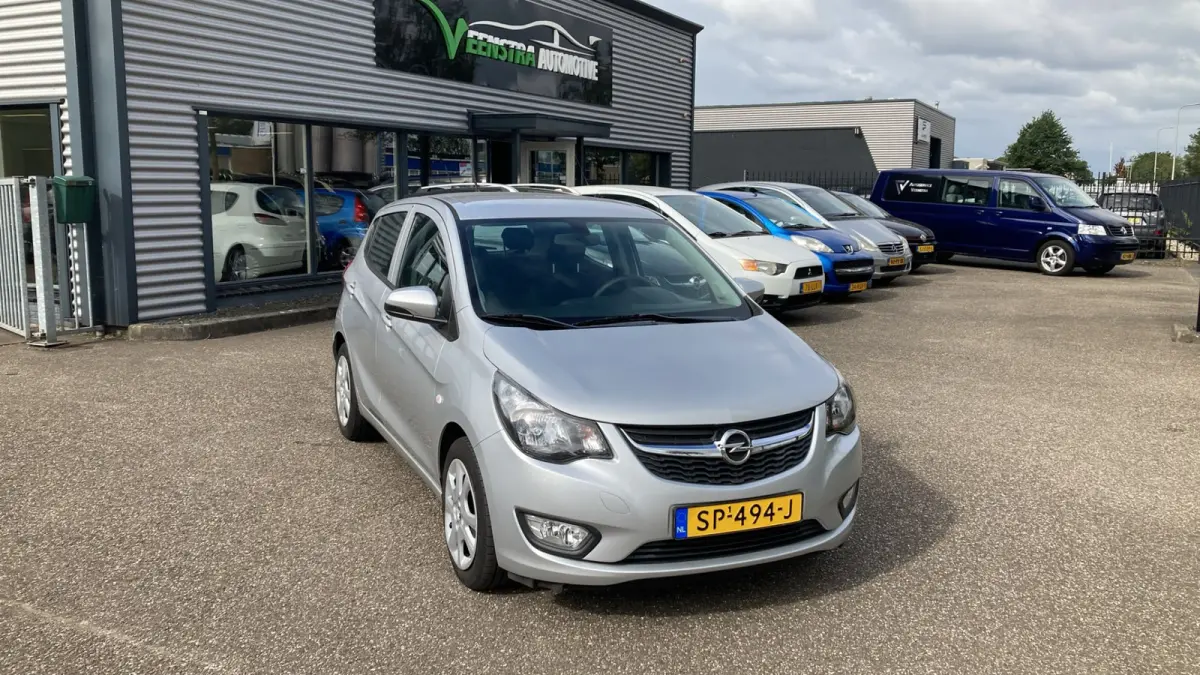 1.0 EcoFlex | 5-Deurs | Cruise | Airco | Bluetooth | 2018