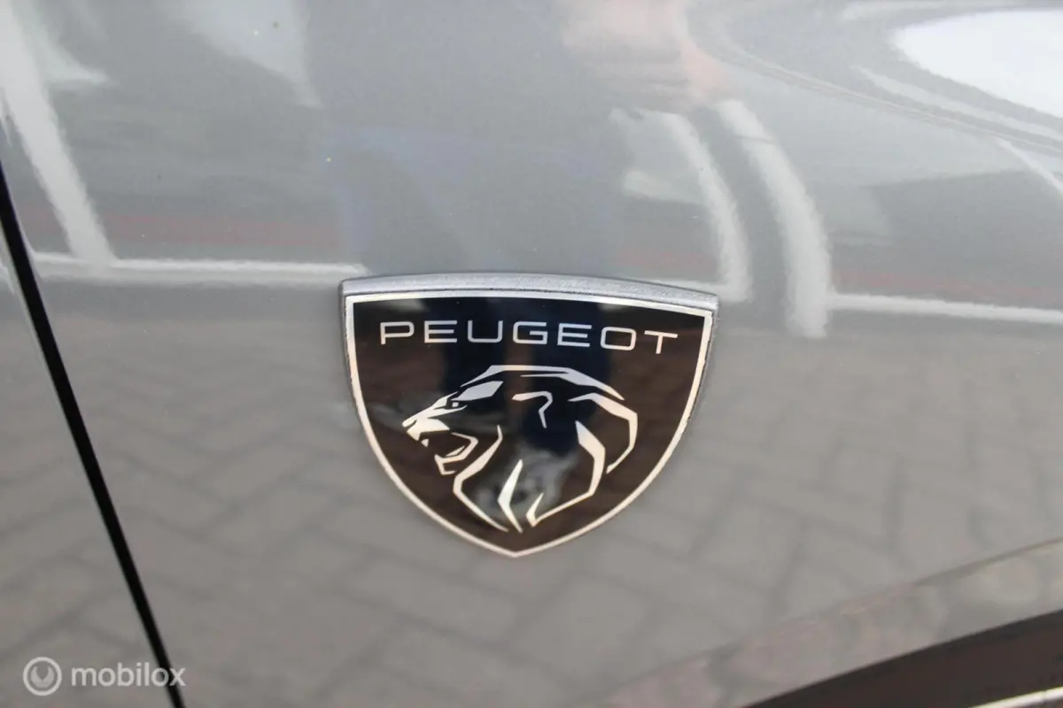 1.6 Plug-in Hybrid GT Massage/360Camera/18Inch