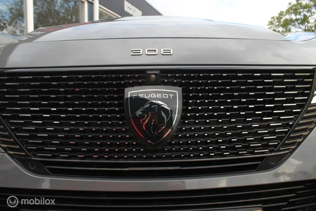 1.6 Plug-in Hybrid GT Massage/360Camera/18Inch