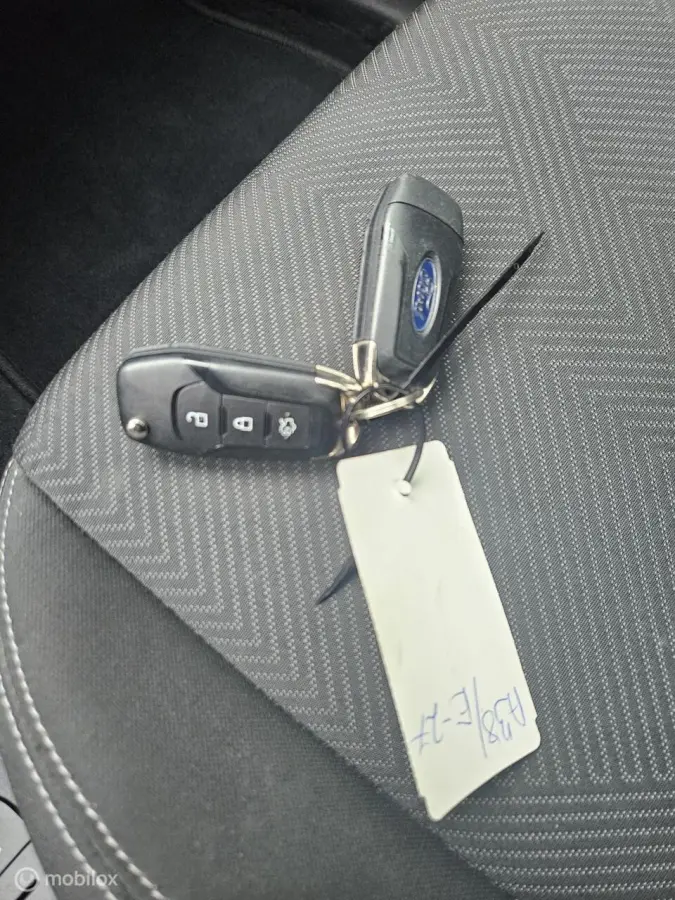 1.0 EcoBoost Connected