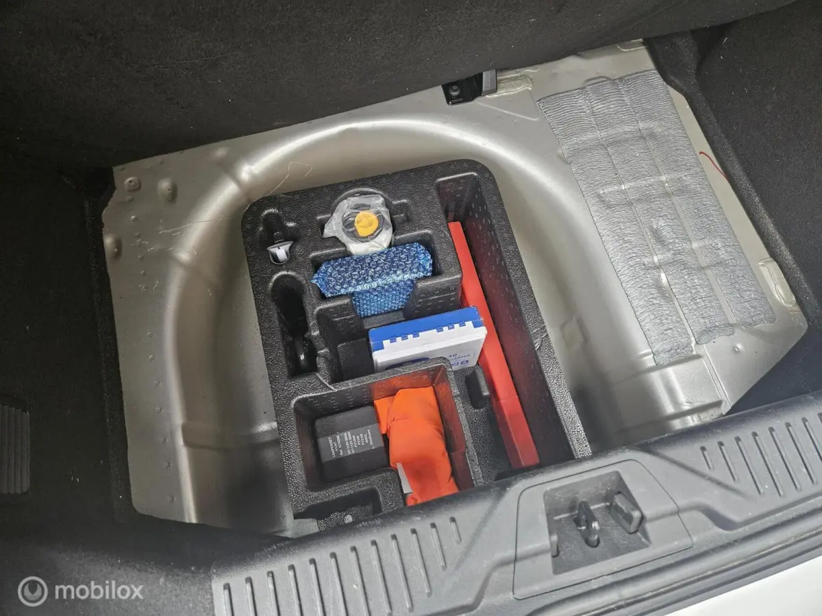 1.0 EcoBoost Connected