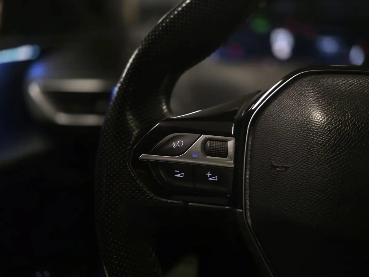 1.2 PureTech GT-Line|PANODAK|CAMERA|ACC