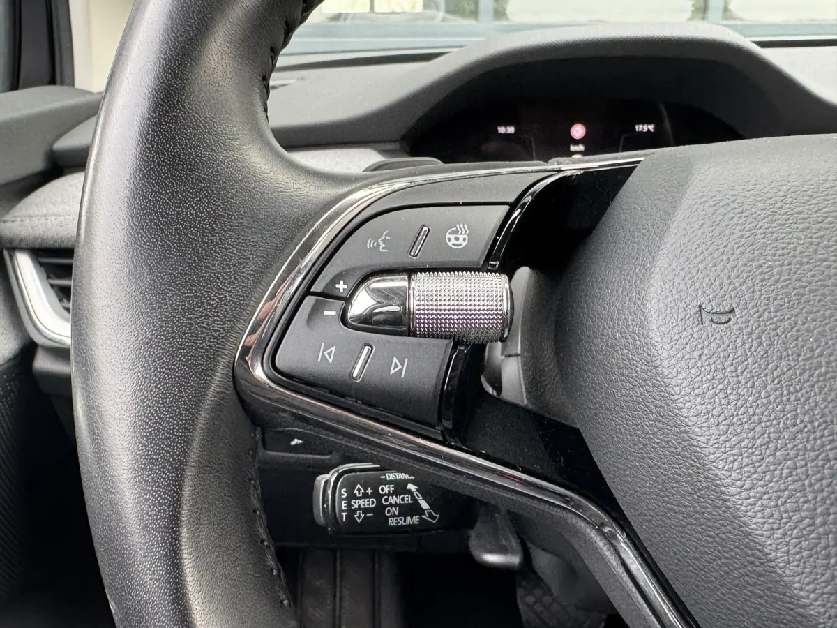 80 (95% SOH) I GROOT ACCUPAKKET I ADAPTIVE CRUISE CONTROL I STOELVERWARMING I P-CAMERA