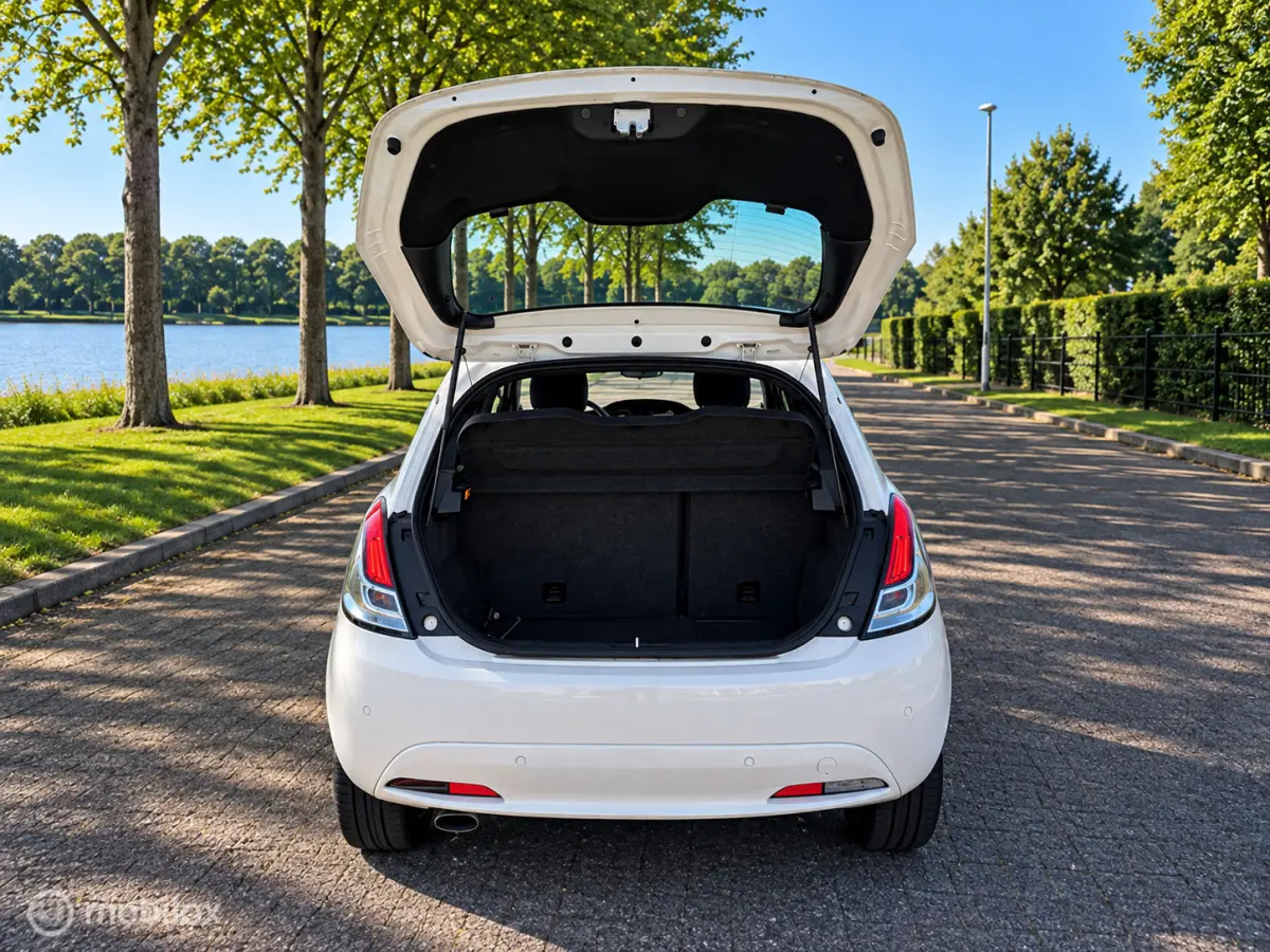 0.9 TwinAir Platinum Automaat