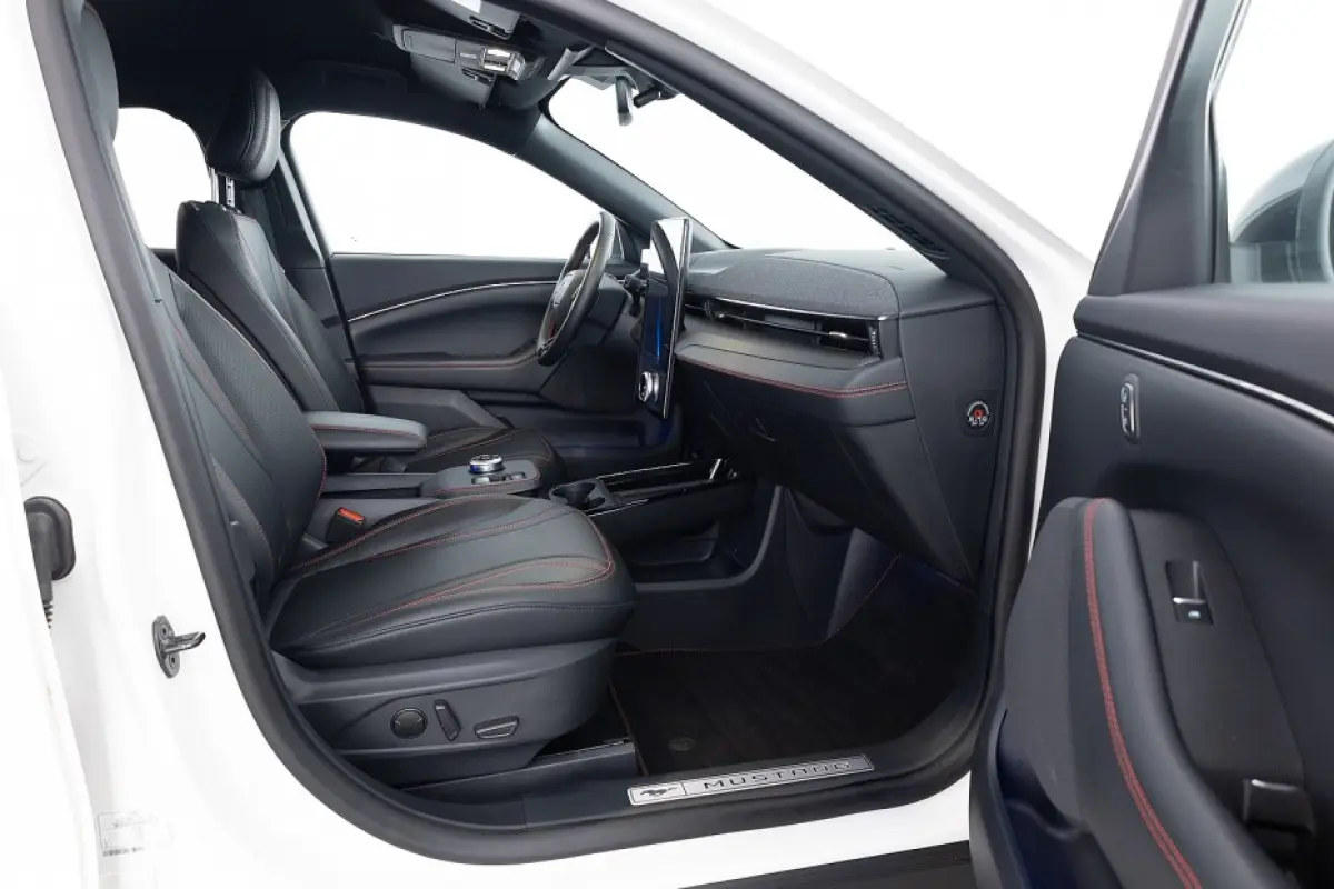 Premium AWD 75 kWh | LEDER | SOH: 96% |