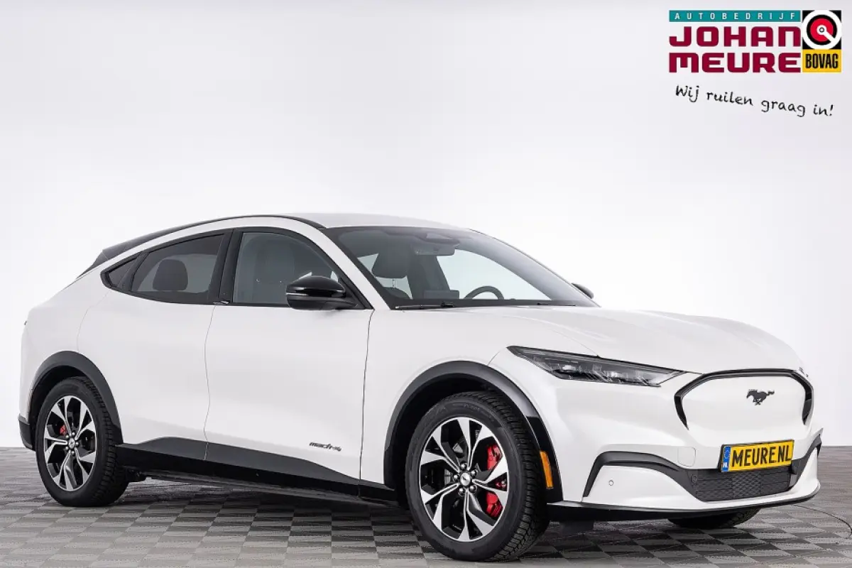 Premium AWD 75 kWh | LEDER | SOH: 96% |