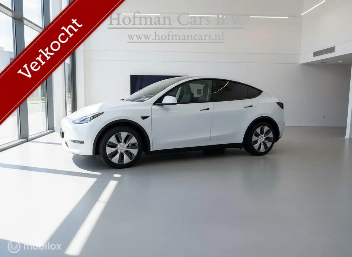 RWD 58 kWh LFP | Pearl White | SOH 87% | Trekhaak 1.600 kg