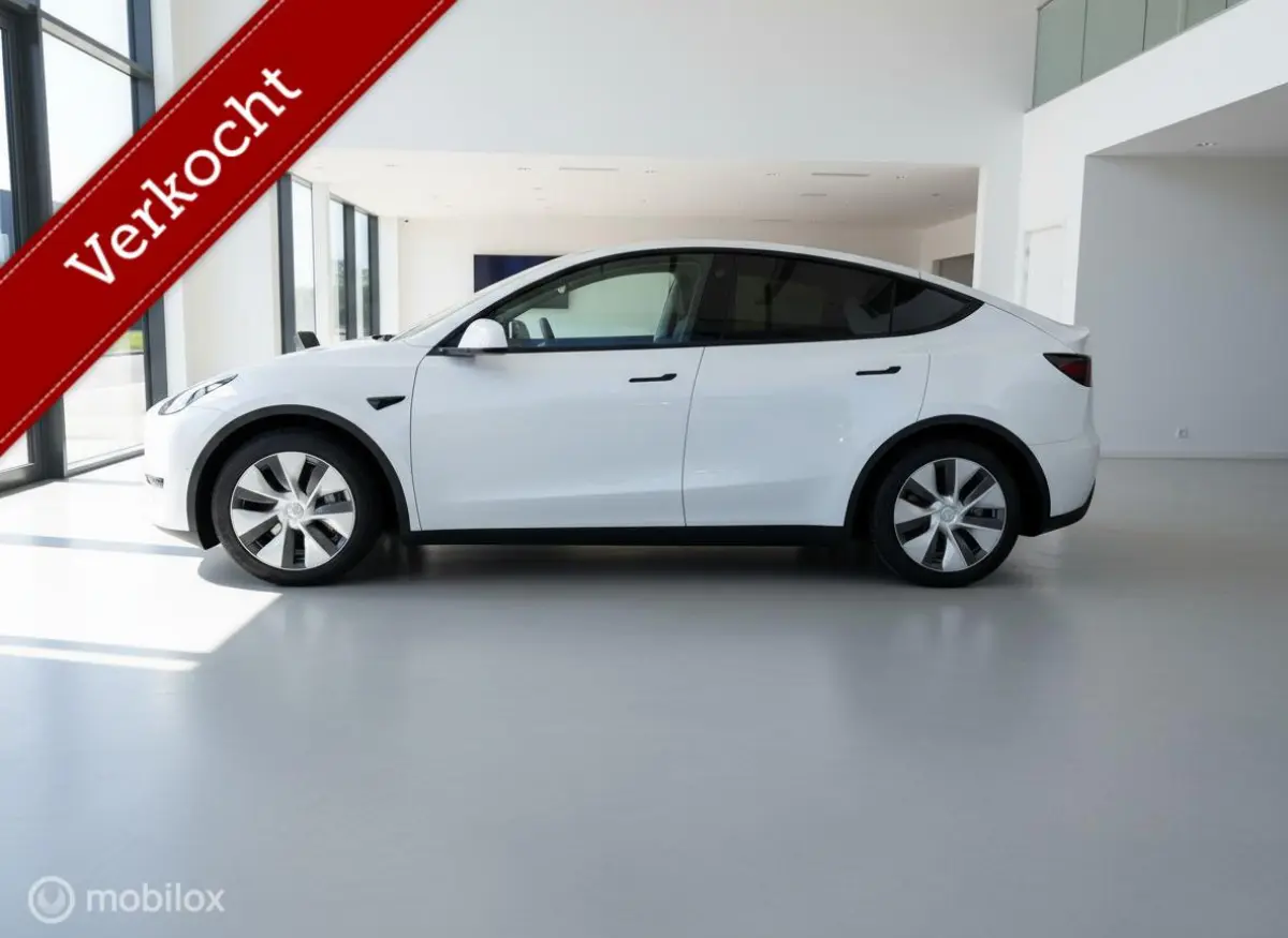 RWD 58 kWh LFP | Pearl White | SOH 87% | Trekhaak 1.600 kg