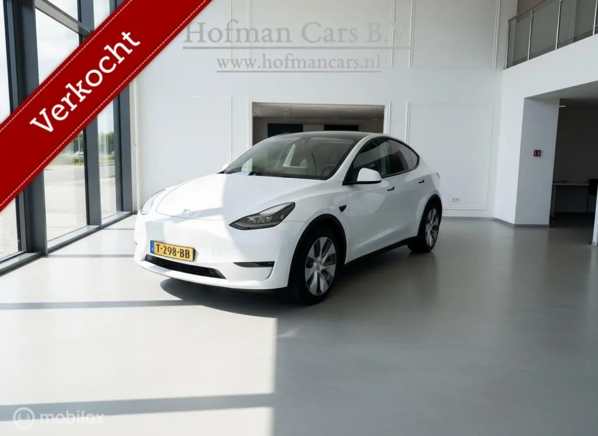 RWD 58 kWh LFP | Pearl White | SOH 87% | Trekhaak 1.600 kg