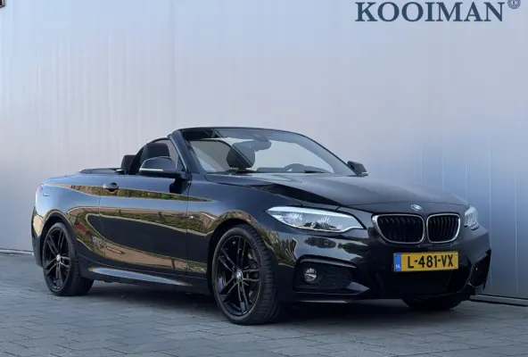 230i High Executive 252 Pk Automaat M-sport / Navi / DAB / PDC / Windscherm