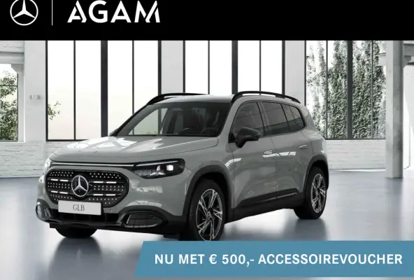electric 250+ Business Solution Luxury 85.5 kWh