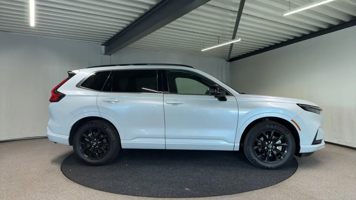 2.0 e:PHEV Advance Tech Automaat | Trekhaak | Leder | Pano | Bose | SOH 100%