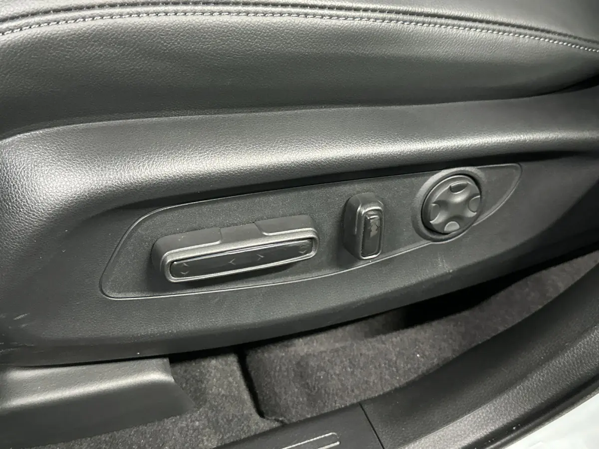 2.0 e:PHEV Advance Tech Automaat | Trekhaak | Leder | Pano | Bose | SOH 100%