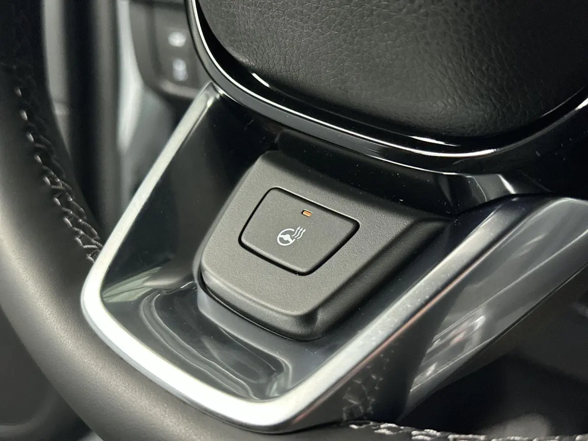 2.0 e:PHEV Advance Tech Automaat | Trekhaak | Leder | Pano | Bose | SOH 100%