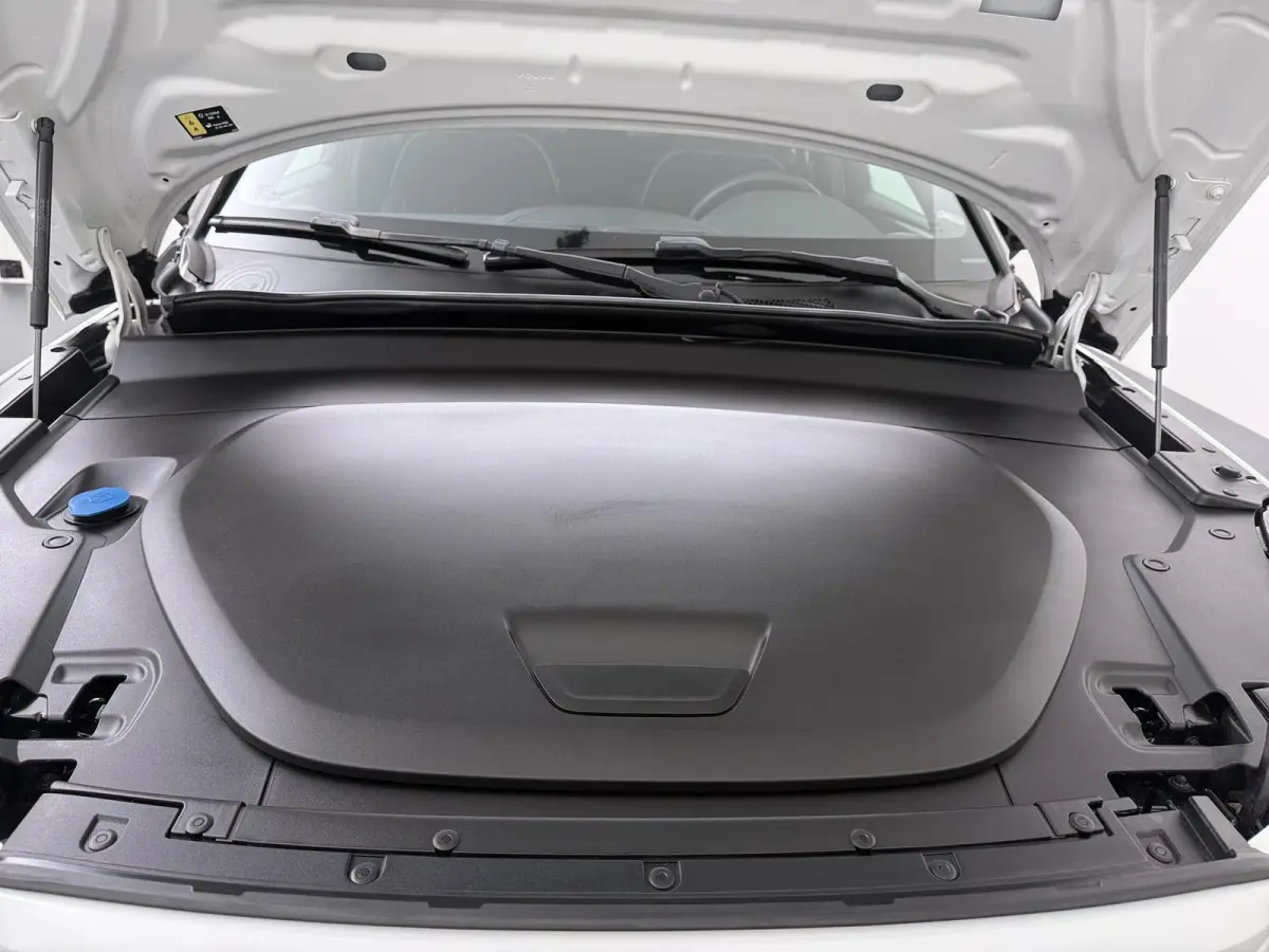 Recharge Twin Intro Edition 78 kWh | Panoramadak | Harman Kardon |
