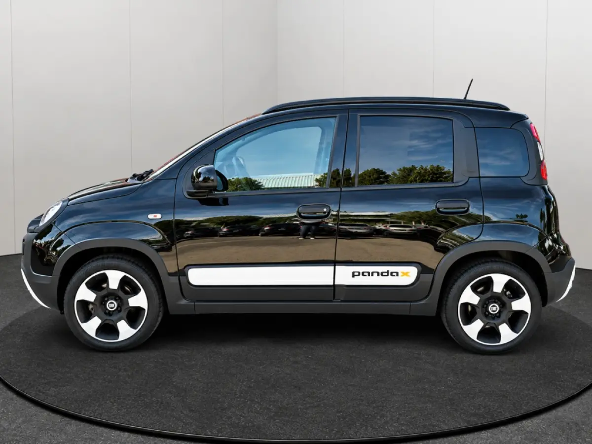 1.0 Hybrid Pandina Cross Hoge Zit Carplay LM-Velgen PDC