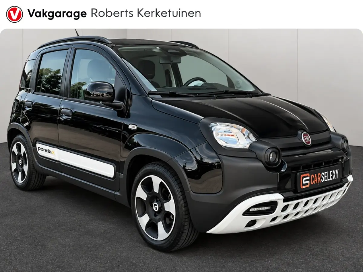 1.0 Hybrid Pandina Cross Hoge Zit Carplay LM-Velgen PDC