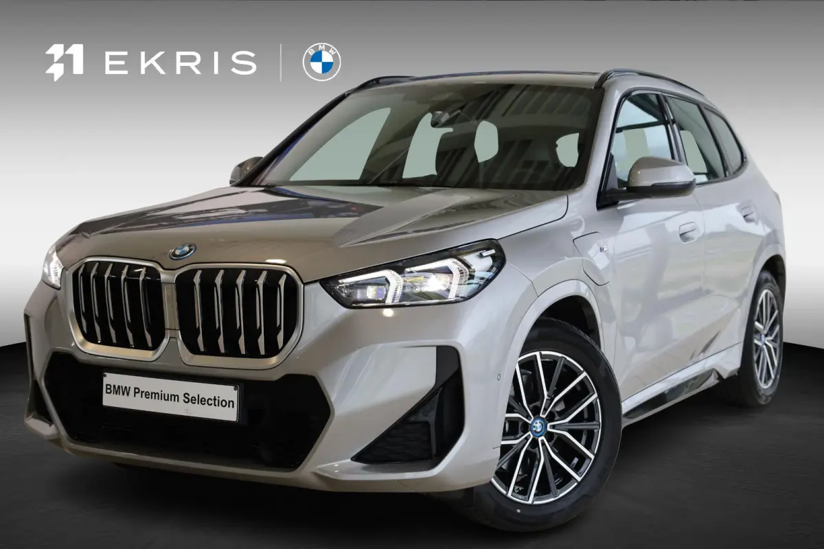 xDrive25e | M Sport | Driving Assistant Plus | Achteruitrijcamera | Stoelverwarming