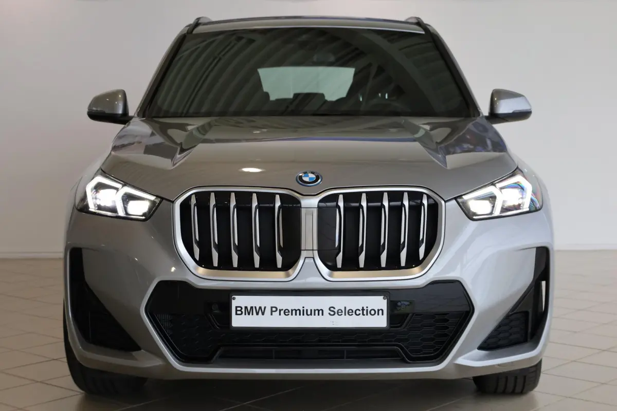 xDrive25e | M Sport | Driving Assistant Plus | Achteruitrijcamera | Stoelverwarming