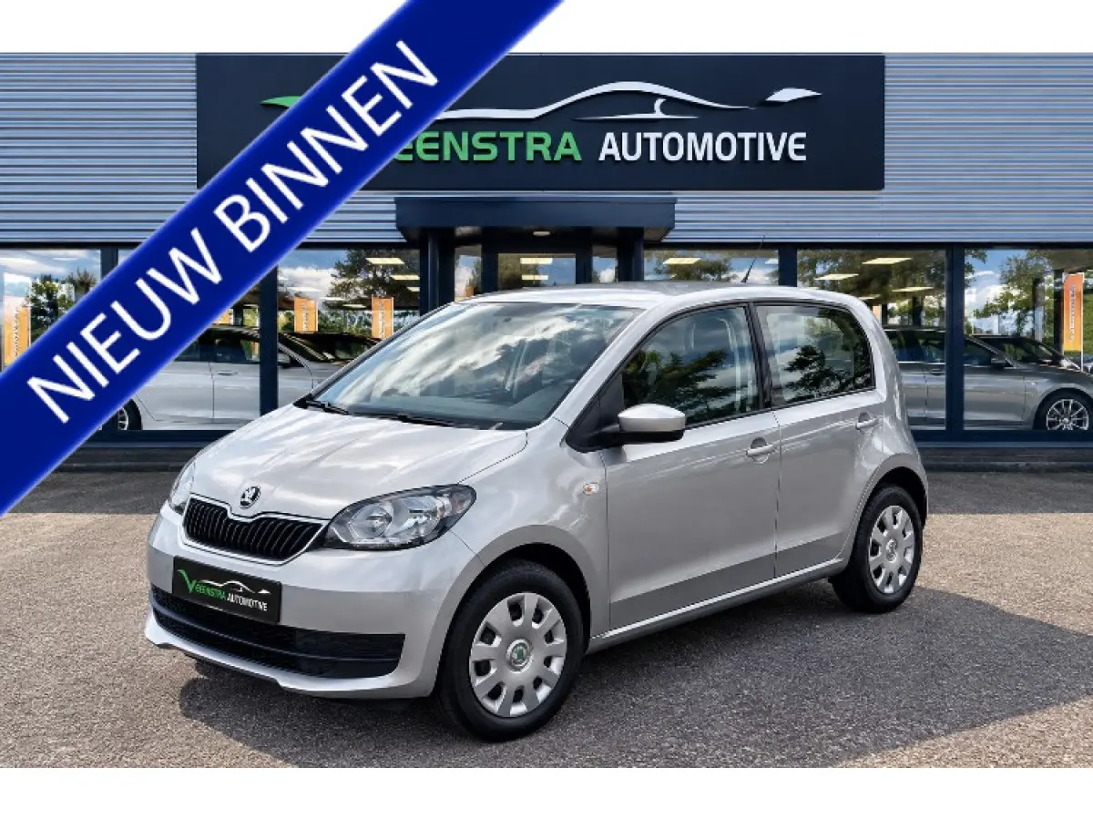 1.0 GreenTec Ambition | 2019 | 146.000 KM | Airco | Cruise | 5-Drs