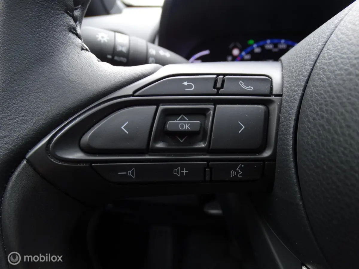 1.5 Hybrid Executive