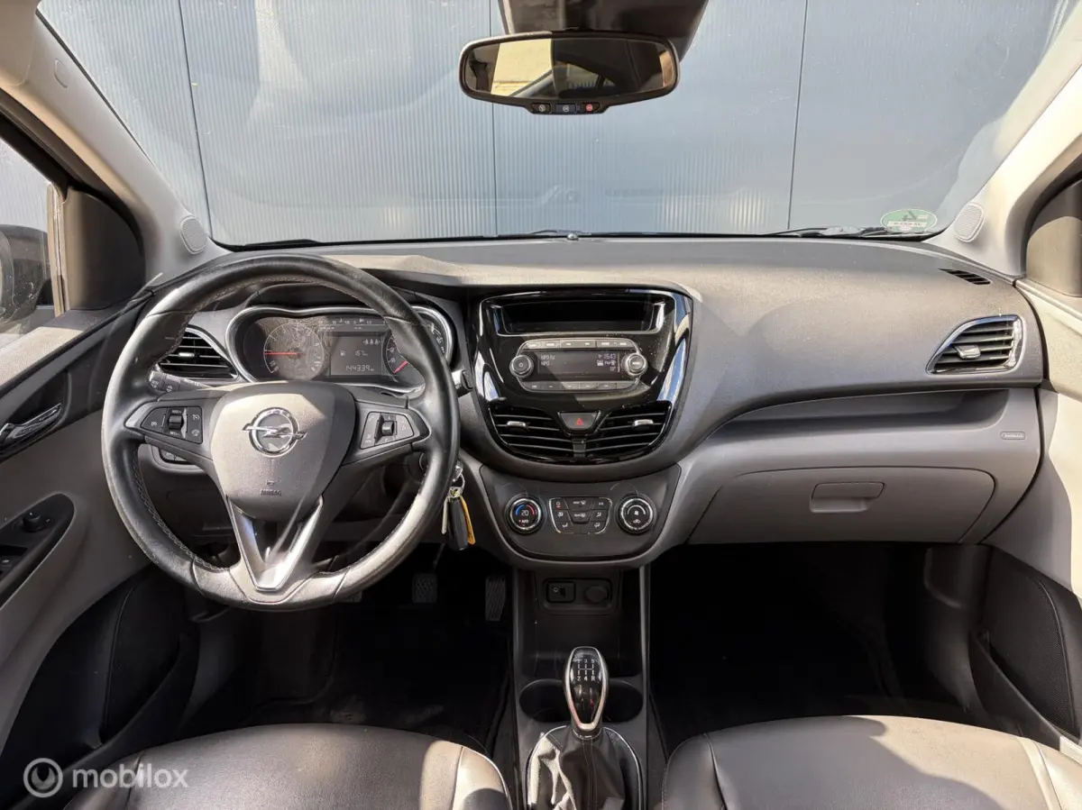 1.0 ecoFLEX Innovation Airco Cruise Pdc Nieuwe Apk